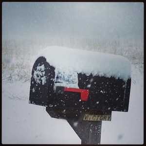 snow mailbox